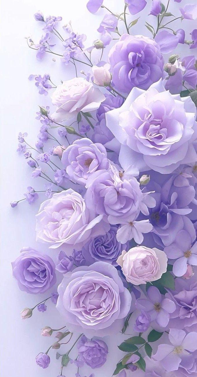 Ethereal Elegance: Serene White Blossom Blend